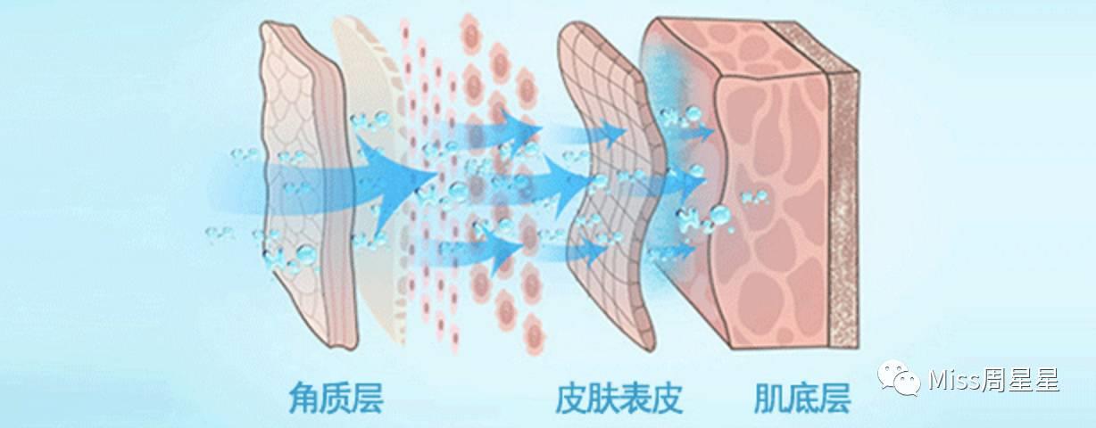 蒸脸器的最佳使用方法 蒸脸器哪个牌子好