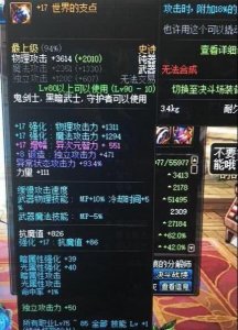 ​DNF：白白浪费了这把增幅17的支点，网友：附魔才是亮点