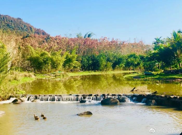 杨超越回村里劈柴种地！取景地有着真正的慢生活