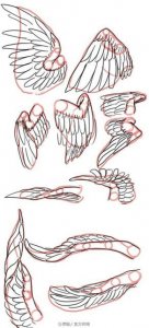​翅膀怎么画（白衣天使的翅膀怎么画)