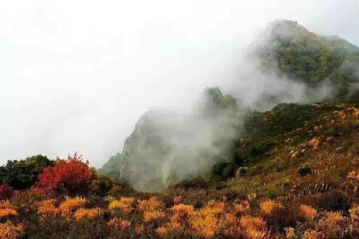 玩转保定 | 秋季到，来野三坡不能错过的美景