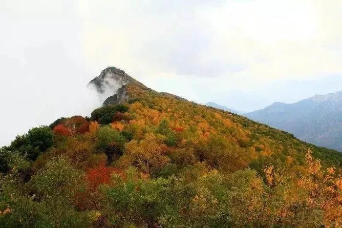 玩转保定 | 秋季到，来野三坡不能错过的美景