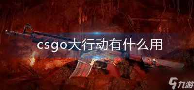 ​csgo大行动有什么用