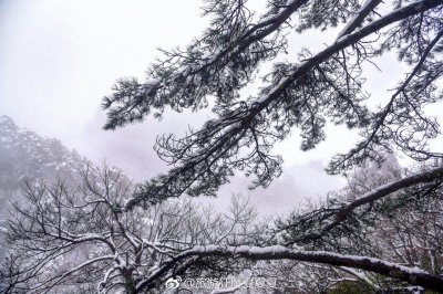 ​安徽·黄山·始信峰&黑虎松