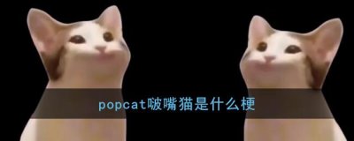 ​popcat啵嘴猫是什么梗