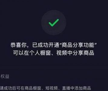 ​包含输了给对方玩可看隐私的词条