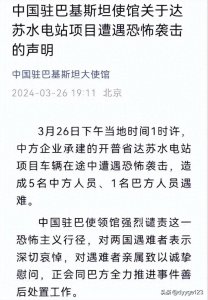 ​巴基斯坦境内针对中国人的恐袭增多，“巴铁”是否已经不“铁”？