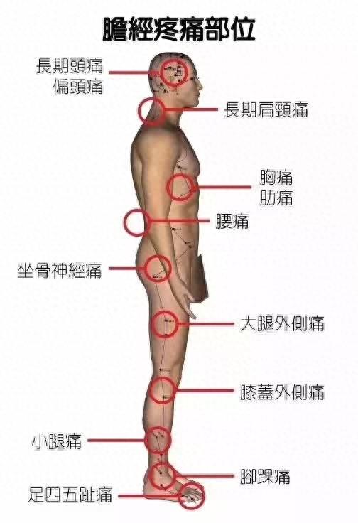 五脏六腑经络疼痛区域划分图
