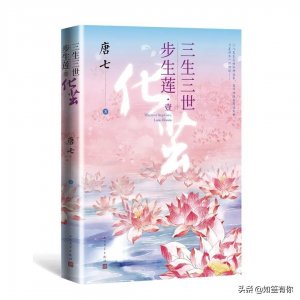 ​唐七《三生三世步生莲》连宋和成玉：相见争如不见，有情何似无情