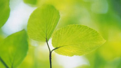 ​水瓶座吃醋会有什么表现？