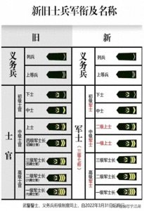 ​当兵满12年，纠结坏了！