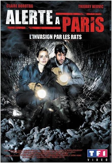 蛇的电影大全盘点(十一部蛇蛛鼠成灾的欧美灾难电影)