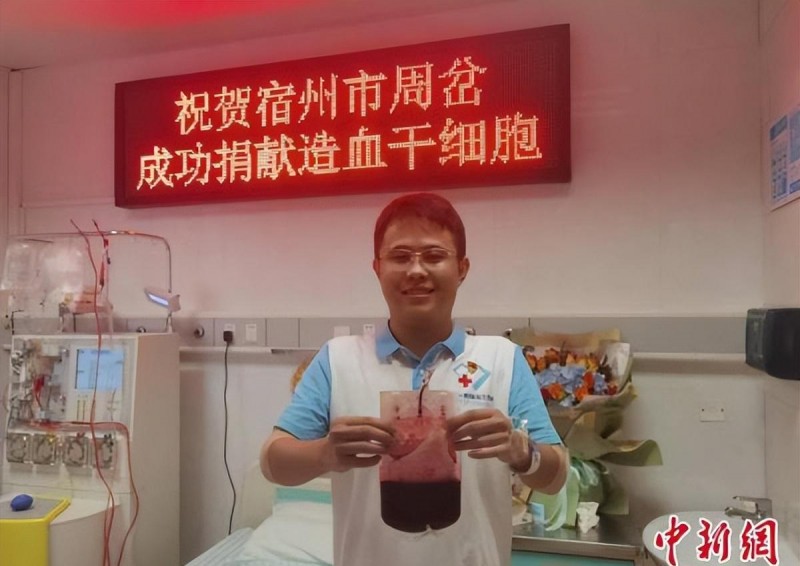 蛇的电影大全盘点(十一部蛇蛛鼠成灾的欧美灾难电影)