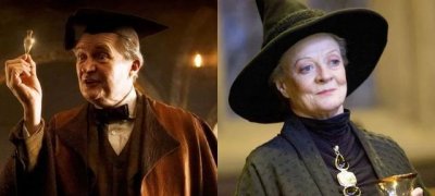 ​《哈利波特》，霍格沃茨十大富有的教授，免费食宿还有高收入