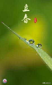 微视界丨这些立春壁纸,请查收