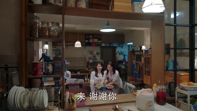 电视剧陪你一起长大沈晓燕结局(沈晓燕向苏醒吐露心声)(5)