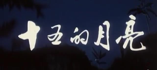 这才是真正的对越自卫反击战电影(10部优秀的对越反击战电影)(1)