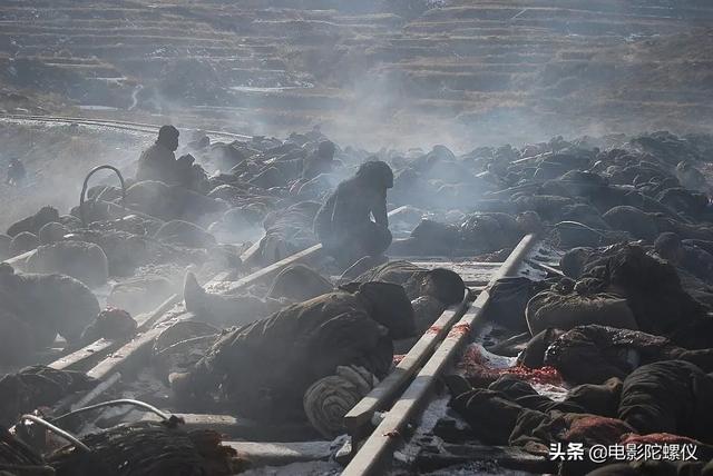 1942票房为何惨淡(不敢看第二遍的电影)(6)