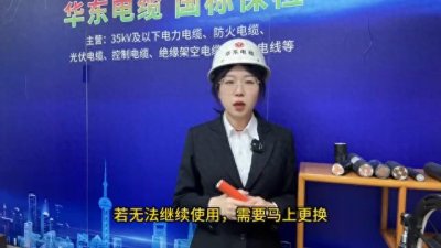 空气开关跳闸,推不上去的原因是什么?