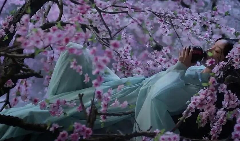 情节最悲情的国产电视剧(最催泪的国产电视剧排行榜)(3)_