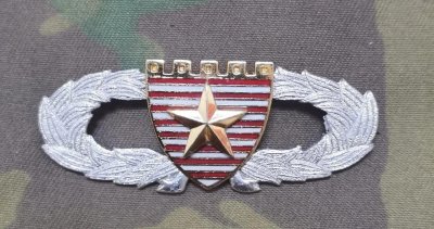 ​陆军胸标的进化史