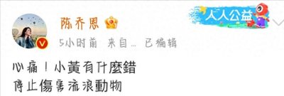 ​闹大了！成都事件导致全国捕杀流浪猫狗。爱狗人士：那可不行。