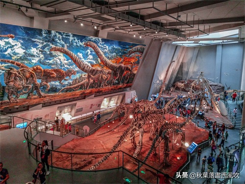 重庆自然博物馆：寓教于乐的亲子一日游好去处。免费还有恐龙看