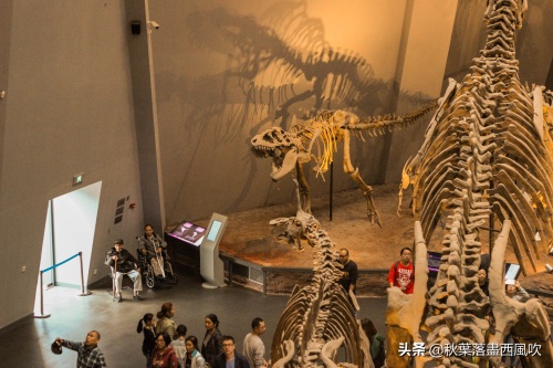 重庆自然博物馆：寓教于乐的亲子一日游好去处。免费还有恐龙看