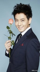 林志颖都演过什么电视剧(林志颖出演的电视剧)