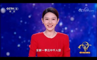 《中国诗词大会》第八季热播中,前七季哪位总冠军含金量最高?