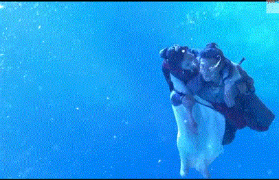 萧十一郎 沈璧君结局 深度解析萧十一郎和沈璧君为啥能珠联璧合(7)