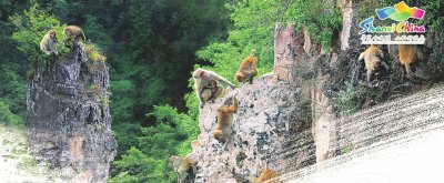 「山西最值得去的地方」蟒河