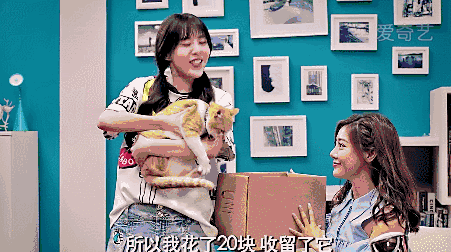 爱情公寓10年前试镜满满的青涩感(爱情公寓终于更新了)(9)