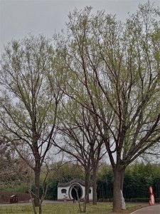 可杀不可辱的李贽