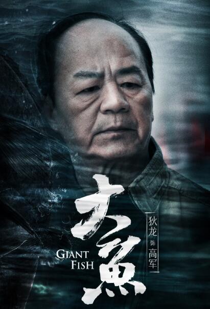 狄龙电影全集评分(狄龙新片17天分账票房出炉)(21)