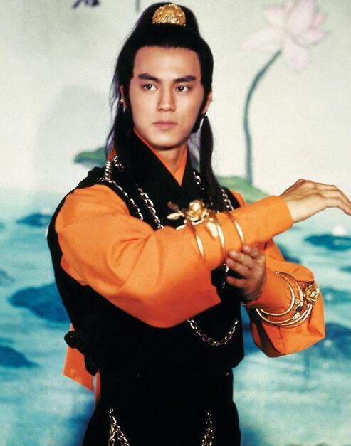 狄龙电影全集评分(狄龙新片17天分账票房出炉)(17)