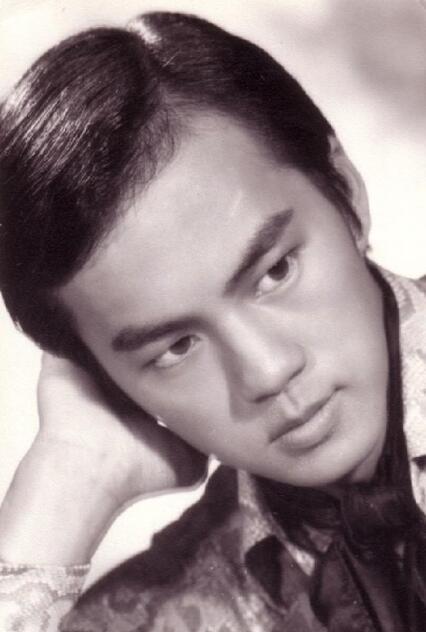 狄龙电影全集评分(狄龙新片17天分账票房出炉)(14)