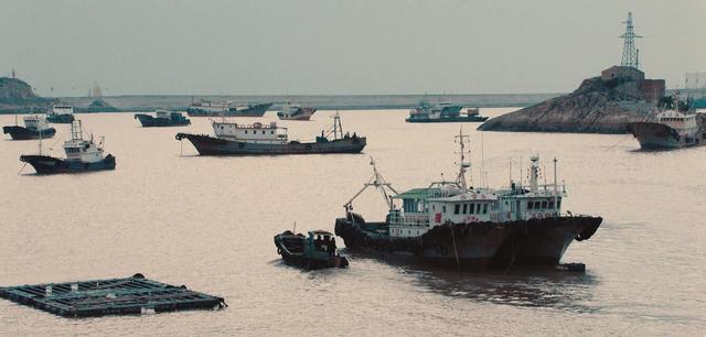 狄龙电影全集评分(狄龙新片17天分账票房出炉)(7)