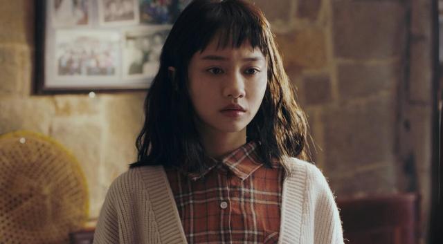 狄龙电影全集评分(狄龙新片17天分账票房出炉)(9)