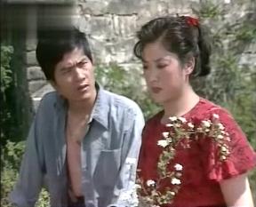 平凡的世界1990版电视剧(1989年电视剧平凡的世界)(6)
