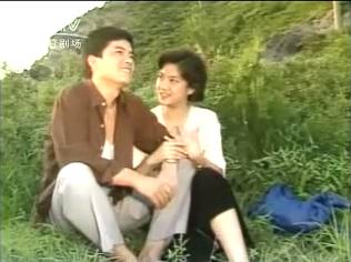 平凡的世界1990版电视剧(1989年电视剧平凡的世界)(14)