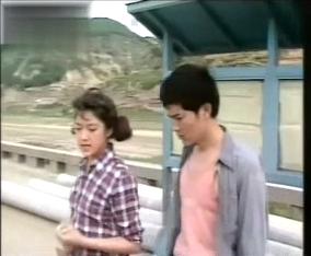 平凡的世界1990版电视剧(1989年电视剧平凡的世界)(4)