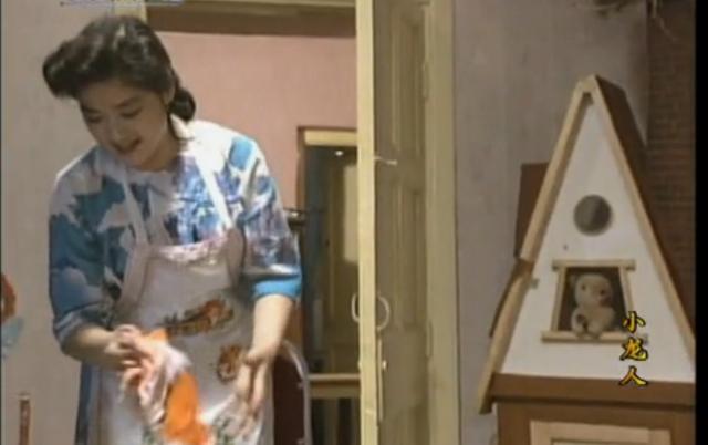 平凡的世界1990版电视剧(1989年电视剧平凡的世界)(23)