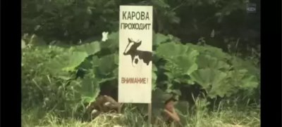 日系暖心影视作品有哪些(十部日系暖心影视作品推荐)