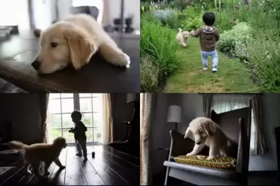 日系暖心影视作品有哪些(十部日系暖心影视作品推荐)