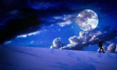 飞机上拍到真龙西藏雪山高空拍到西藏龙