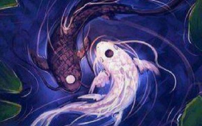 世界上最贵的5瓶白酒,赖茅、汾酒上榜,一口就价值一辆小汽车