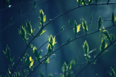 ​湖南永雄催收巨头，深夜发文公然叫板安徽警方