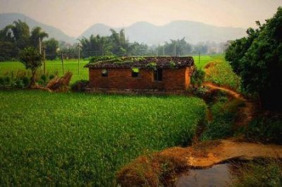 掩埋着多年历史的玛雅遗址 有着曾经辉煌的记录