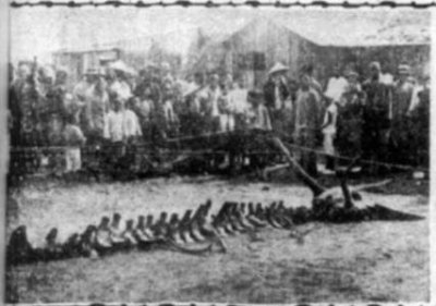 提前15个月还完67万多感觉天亮了